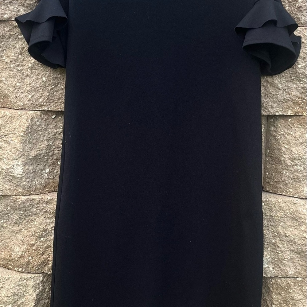 Tiana B Black Ruffled Flutter Sleeve Sheath Dress